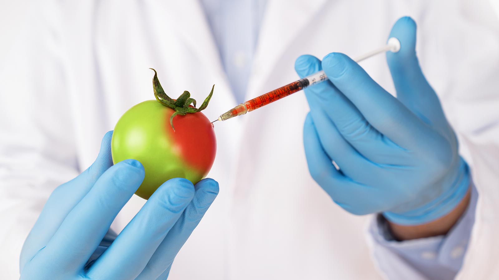 Etiquetado de los alimentos que contienen OMG