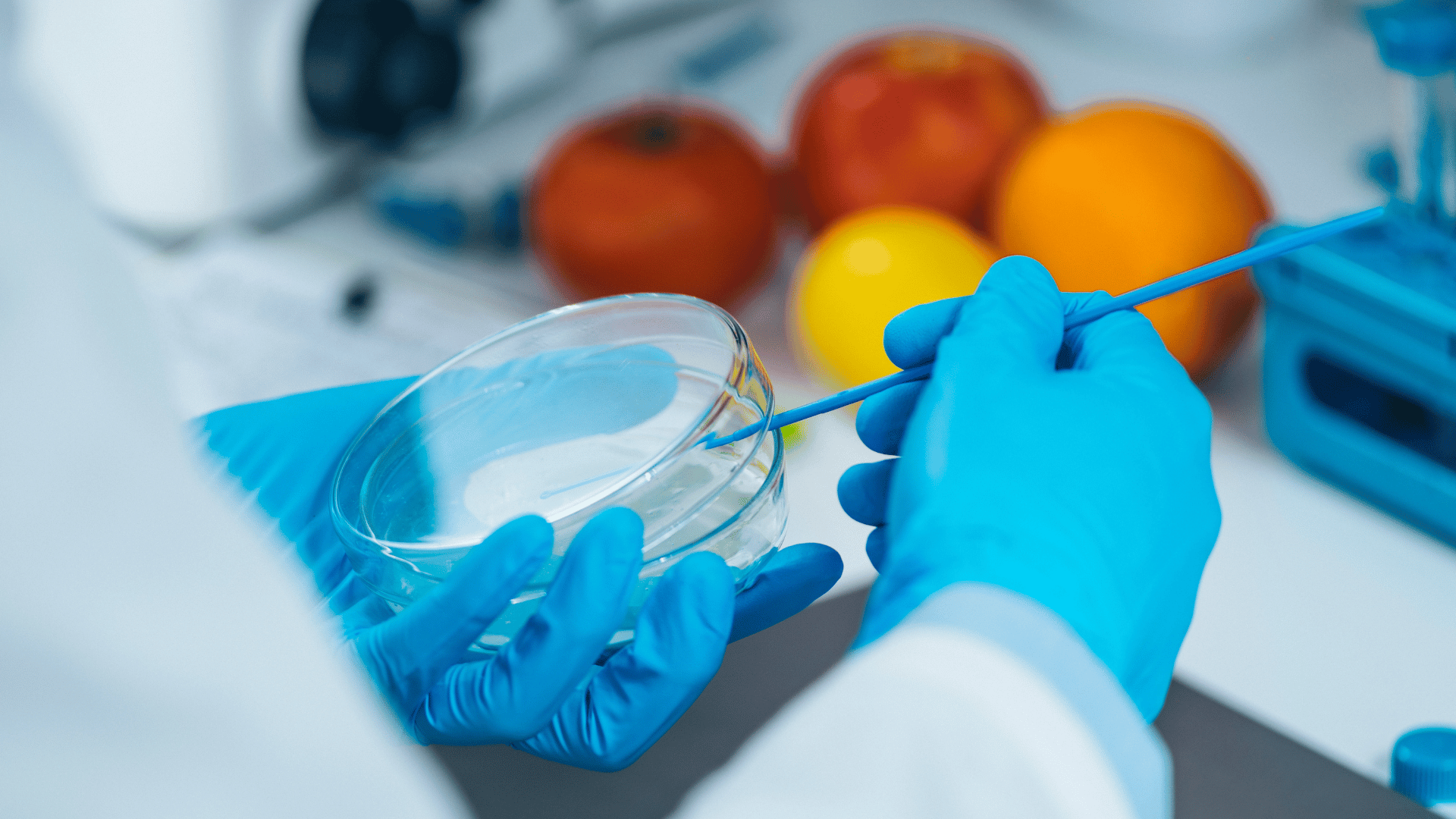 Diluciones en microbiología de los alimentos. Técnica y preparación