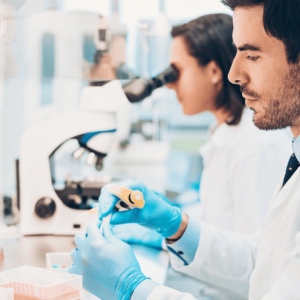 Innovar desde cero: Curso básico de I+D+i alimentaria