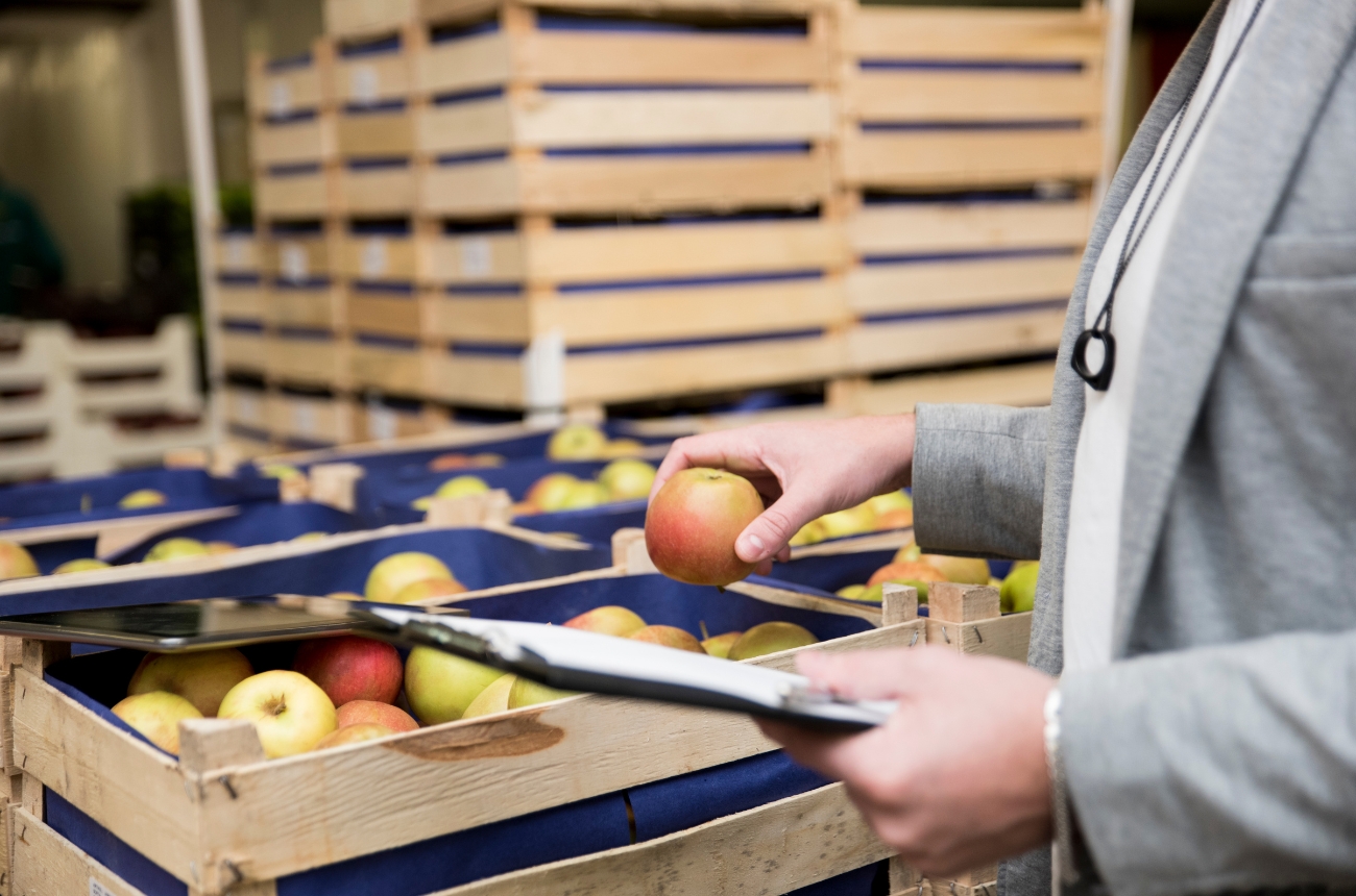 Industria Alimentaria